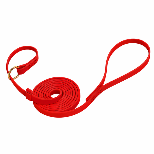 רצועת סליפ ליש לכלב עם קולר חנק-עשויה מביאוטן