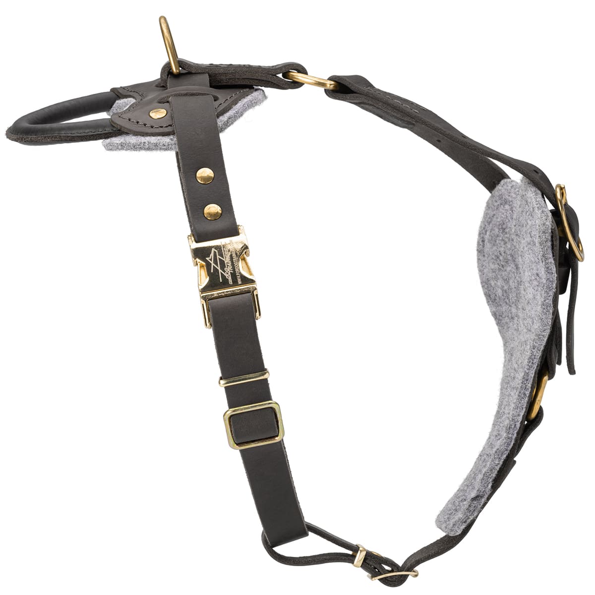 רתמת עור לכלב מתאימה לכלבים בינוניים / גדולים | לאימוני תקיפה ולטיולים - FOR DOG TRAINERS- ISRAEL