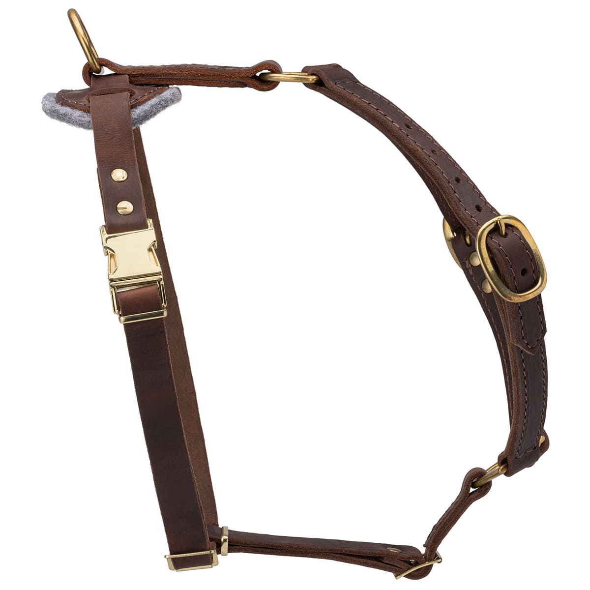 רתמת עור לכלב | לעבודות גישוש ולטיולים - FOR DOG TRAINERS- ISRAEL