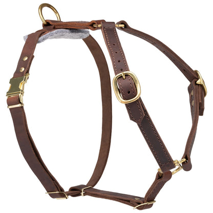 רתמת עור לכלב | לעבודות גישוש ולטיולים - FOR DOG TRAINERS- ISRAEL