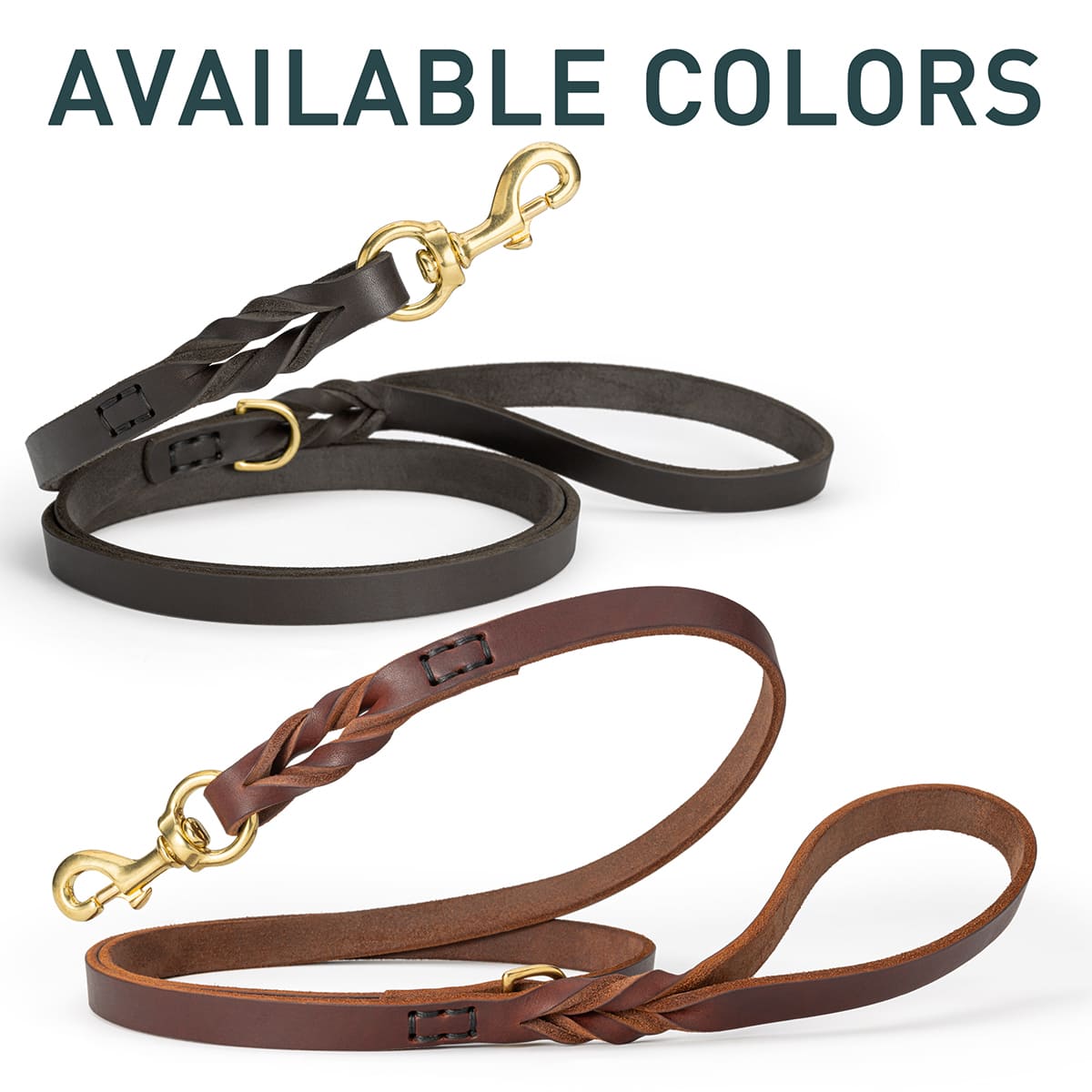 רצועת עור לכלב מקצועית, משודרגת והאולטימטיבית - FOR DOG TRAINERS- ISRAEL