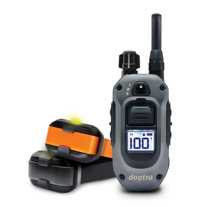 חדש! דוגטרה קולר אלקטרוני- קולר אילוף חשמלי ל2 כלבים Dogtra 642X (282X)