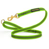 חדש! רצועת אחיזה מניילון חזק במיוחד - FOR DOG TRAINERS- ISRAEL