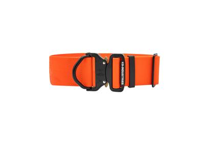 קולר מקצועי לכלב עשוי ביאוטן עם אבזם מתכת- 50 מ"מ (2 אינץ')