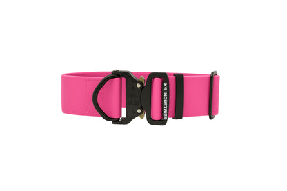 קולר מקצועי לכלב עשוי ביאוטן עם אבזם מתכת- 50 מ"מ (2 אינץ')