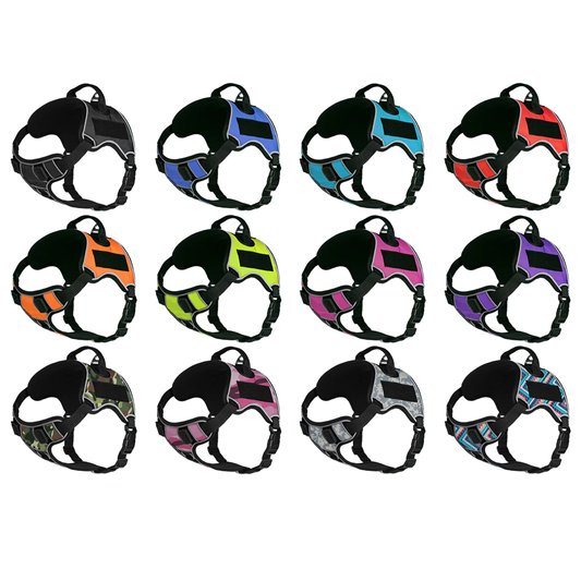 רתמה לכלב רב תכליתית דגם ניו יורק- דוגליין - FOR DOG TRAINERS- ISRAEL