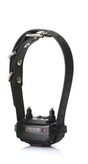 קולר נוסף/ חלופי אי קולר - FOR DOG TRAINERS- ISRAEL