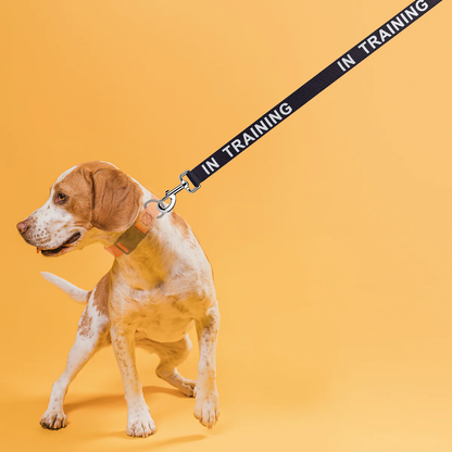 רצועות ניילון לכלב- כיתוב זהור בחושך - FOR DOG TRAINERS- ISRAEL