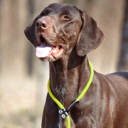 רצועת סליפ ליש- רצועת בד ניילון עם קולר חנק מובנה - FOR DOG TRAINERS- ISRAEL