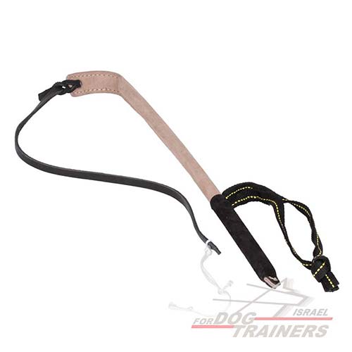 ציוד התססה - שוט הרגזה לאילוף כלבים - FOR DOG TRAINERS- ISRAEL
