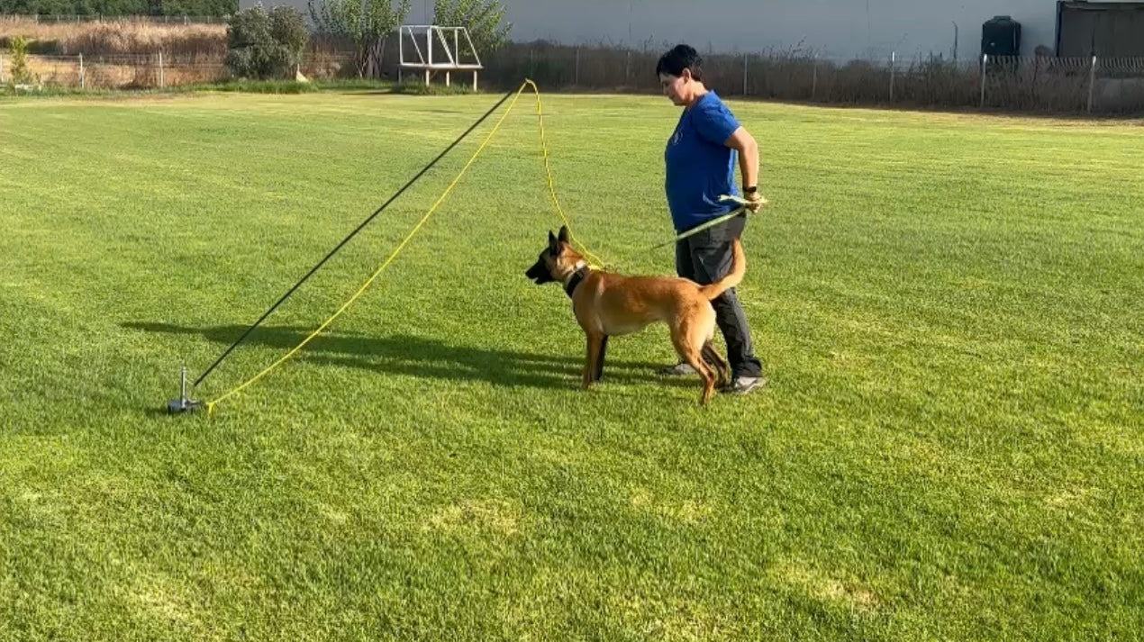 חדש! חכה איכותית במיוחד לאילוף כלבים - FOR DOG TRAINERS- ISRAEL