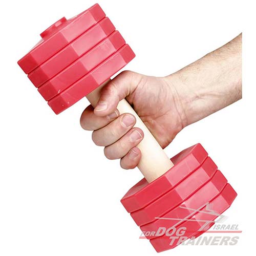 משקולת עץ לאילוף כלבים עם צלחות משקל אדומות נשלפות - 2 ק"ג - FOR DOG TRAINERS- ISRAEL