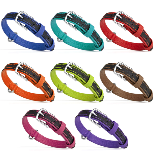 קולר שטוח משולב 2 צבעים- עשוי עור רך - FOR DOG TRAINERS- ISRAEL