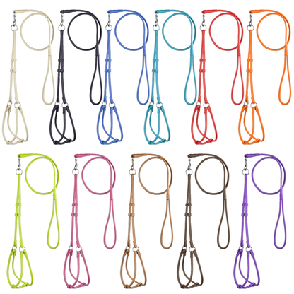 רתמת עור לכלב+ רצועת עור תואמת- עשוי עור מעוגל ורך - FOR DOG TRAINERS- ISRAEL