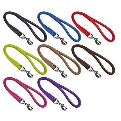 רצועת עור מעוצבת לכלב עשויה עור רך - FOR DOG TRAINERS- ISRAEL