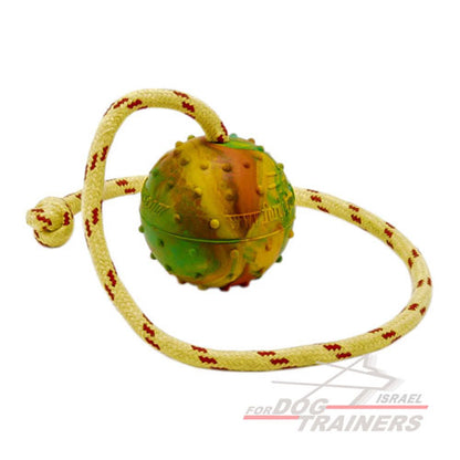 כדור אימון לכלבים על חבל עשוי גומי מוצק - גודל גדול 7 ס"מ - FOR DOG TRAINERS- ISRAEL