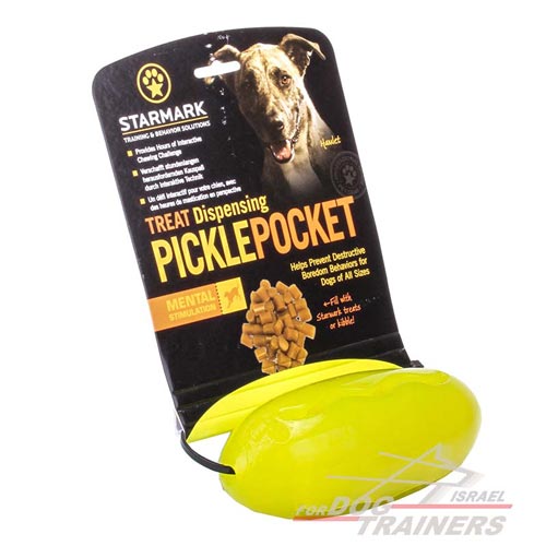 צעצוע בצורת מלון דיספנסר חטיפים לגזעי כלבים בינוניים וגדולים - FOR DOG TRAINERS- ISRAEL