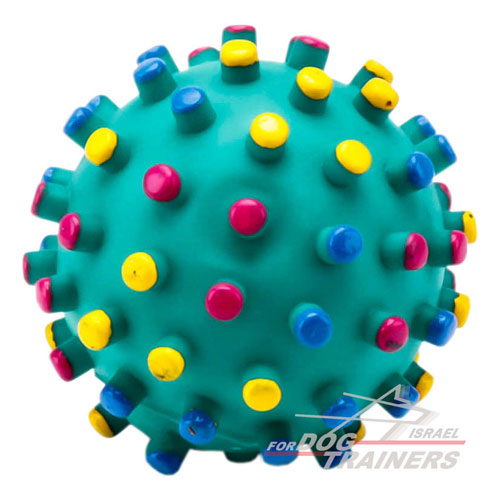 כדור גומי צבעוני משמיע קול בעת לחיצה - FOR DOG TRAINERS- ISRAEL