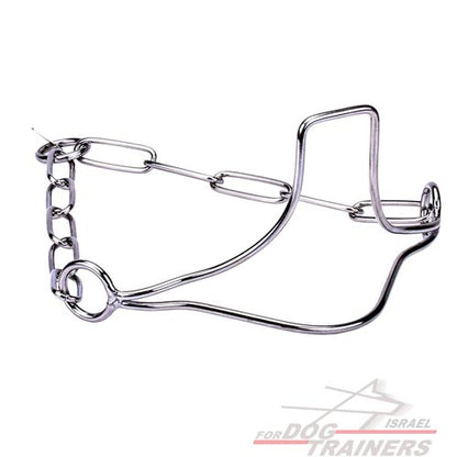 גאוות הזוכה" קולר כלב איכותי מנירוסטה לתערוכות עם חוליות שומרות פרווה - FOR DOG TRAINERS- ISRAEL