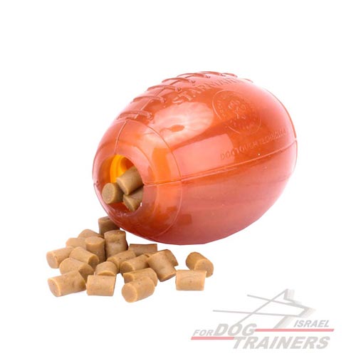 חטיפים טעימים לכלב "הישאר בריא ופעיל" - FOR DOG TRAINERS- ISRAEL
