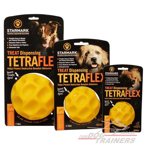 חטיפים טעימים לכלב "הישאר בריא ופעיל" - FOR DOG TRAINERS- ISRAEL