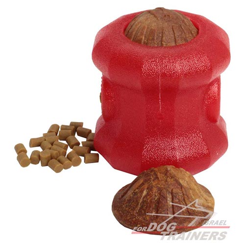 צעצוע לעיסה מחזיק חטיפים לגזעי כלבים גדולים - FOR DOG TRAINERS- ISRAEL