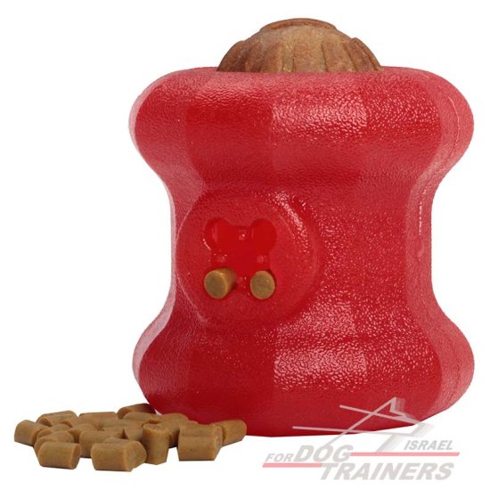 צעצוע לעיסה מחזיק חטיפים לגזעי כלבים גדולים - FOR DOG TRAINERS- ISRAEL