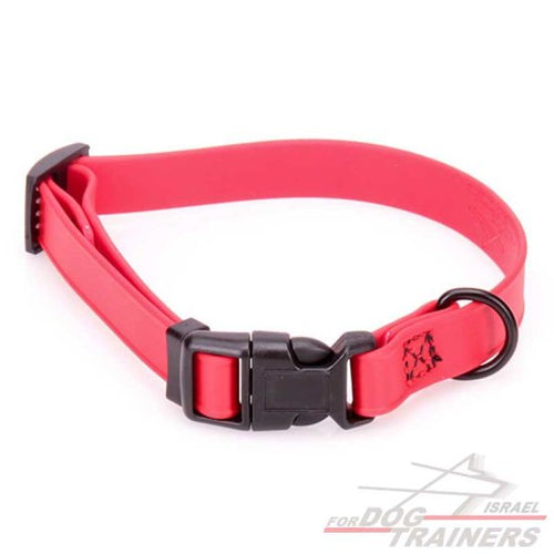 קולר מתכונן לכלב מביאוטן אדום- מתאים לגורים לגזעים קטנים- 1 ס"מ רוחב - FOR DOG TRAINERS- ISRAEL
