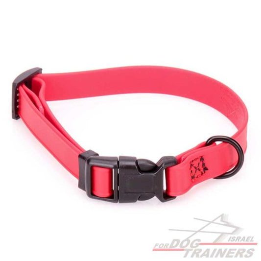 קולר מתכונן לכלב מביאוטן אדום- מתאים לגורים לגזעים קטנים- 1 ס"מ רוחב - FOR DOG TRAINERS- ISRAEL
