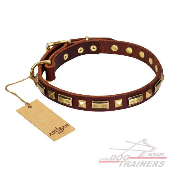 חדש! קולר לכלב מעור מעוצב - FOR DOG TRAINERS- ISRAEL