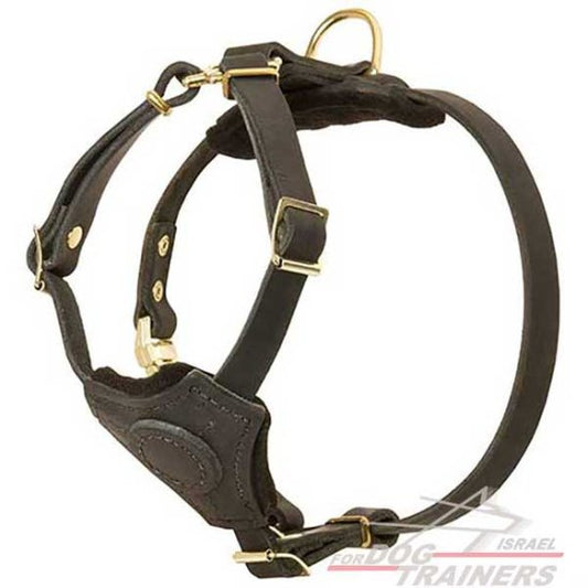 רתמת עור לכלב, מיועדת לגורים | לאימונים, טיולים ולגישוש - FOR DOG TRAINERS- ISRAEL