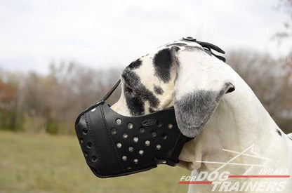 מחסום לכלב רב תכליתי העשוי מעור ומיועד לאימוני תקיפה - FOR DOG TRAINERS- ISRAEL