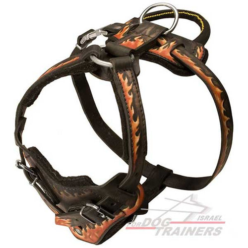 רתמת עור לכלב בצביעה ידנית לאימוני תקיפה | עם רצועות מתכווננות - FOR DOG TRAINERS- ISRAEL