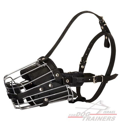 מחסום פה לכלב עשוי מתכת מרושת ומרופד לכלב לאימונים - FOR DOG TRAINERS- ISRAEL