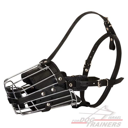 מחסום פה לכלב עשוי מתכת מרושת ומרופד לכלב לאימונים - FOR DOG TRAINERS- ISRAEL