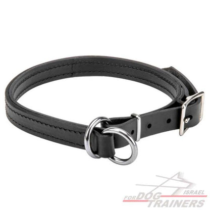 קולר חנק מעור - דו שכבתי - FOR DOG TRAINERS- ISRAEL