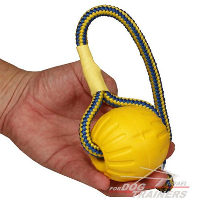 כדור ספוג לאימונים ומשחקים עם הכלב 9 ס"מ - גדול - FOR DOG TRAINERS- ISRAEL