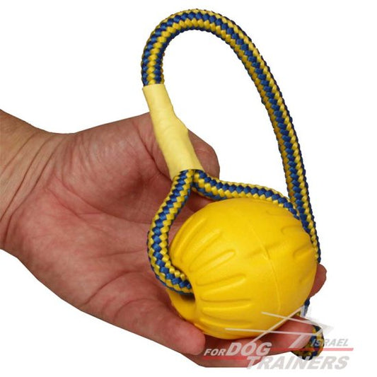 כדור ספוג לאימונים ומשחקים עם הכלב 9 ס"מ - גדול - FOR DOG TRAINERS- ISRAEL
