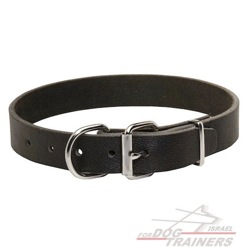 קולר לכלב מעור ברוחב 3 ס"מ - FOR DOG TRAINERS- ISRAEL