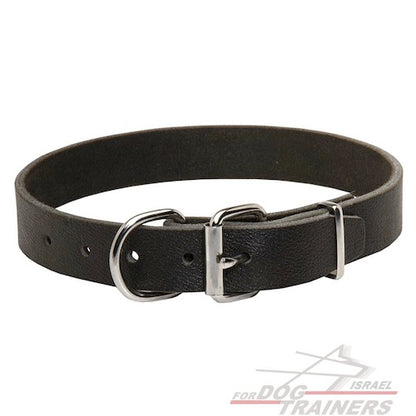 קולר לכלב מעור ברוחב 3 ס"מ - FOR DOG TRAINERS- ISRAEL