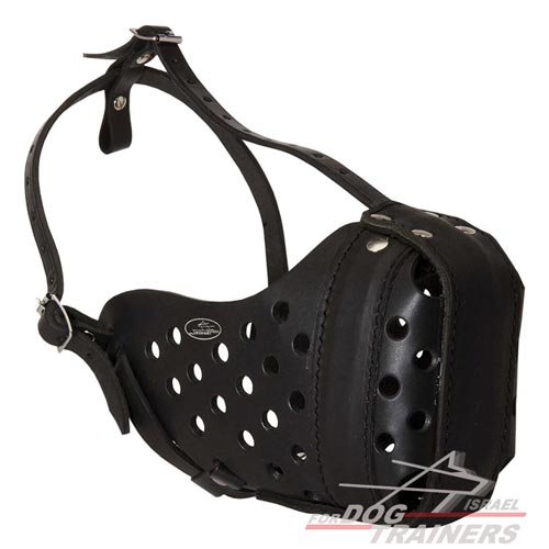 מחסום לכלב רב תכליתי העשוי מעור ומיועד לאימוני תקיפה - FOR DOG TRAINERS- ISRAEL