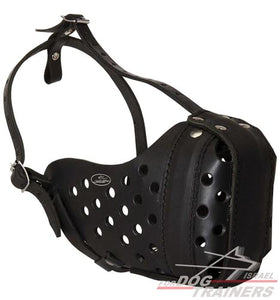 מחסום לכלב רב תכליתי העשוי מעור ומיועד לאימוני תקיפה - FOR DOG TRAINERS- ISRAEL