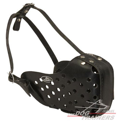 מחסום פה לכלב לאימוני תקיפה / הגנה - FOR DOG TRAINERS- ISRAEL