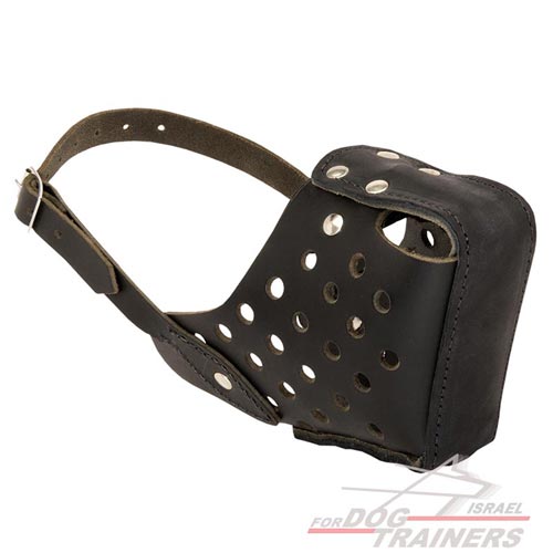 זמם לכלב הטוב ביותר לאימוני תקיפה והגנה לכלבים - FOR DOG TRAINERS- ISRAEL