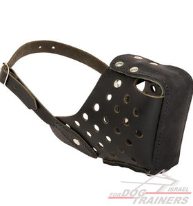 זמם לכלב הטוב ביותר לאימוני תקיפה והגנה לכלבים - FOR DOG TRAINERS- ISRAEL