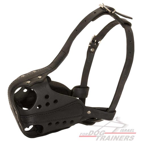חדש! מחסום פה לכלב מיועד לכלבים עובדים - FOR DOG TRAINERS- ISRAEL