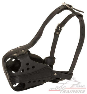 חדש! מחסום פה לכלב מיועד לכלבים עובדים - FOR DOG TRAINERS- ISRAEL