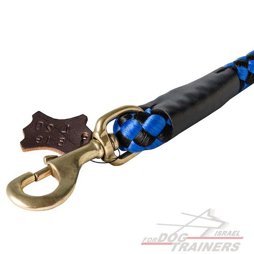 רצועת חבל עבה מניילון באיכות גובה- רצועת אידאלית לטיולים - FOR DOG TRAINERS- ISRAEL