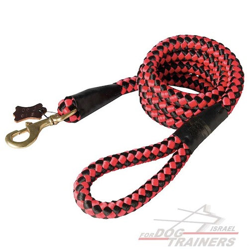 רצועת חבל עבה מניילון באיכות גובה- רצועת אידאלית לטיולים - FOR DOG TRAINERS- ISRAEL