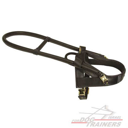 רתמת עור לכלב באיכות גבוהה | עם ידית ארוכה לכלבי נחייה וסיוע - FOR DOG TRAINERS- ISRAEL